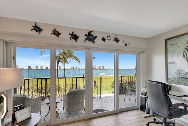 doorway featuring a healthy amount of sunlight, a water view, and light hardwood / wood-style flooring