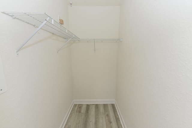 walk in closet with wood-type flooring