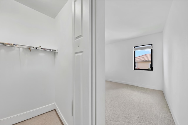 spacious closet with carpet