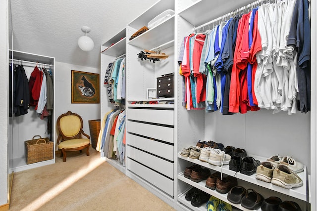 spacious closet featuring carpet flooring