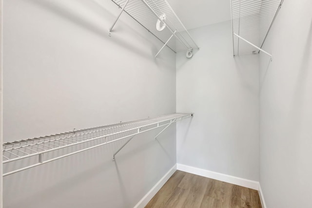 walk in closet featuring wood-type flooring