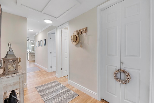 hall with crown molding and light wood-type flooring