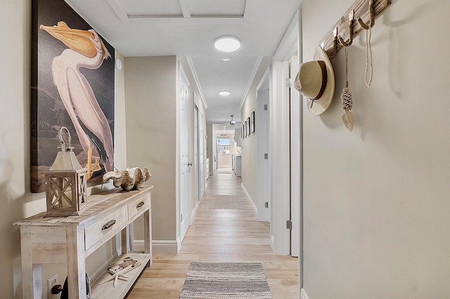 hallway featuring crown molding and light hardwood / wood-style flooring