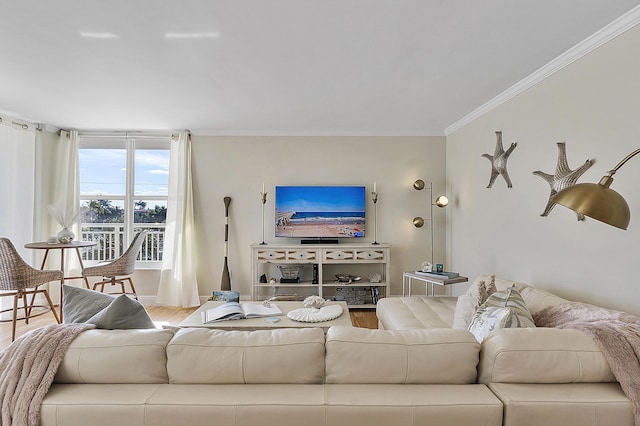 living area featuring baseboards, ornamental molding, and wood finished floors