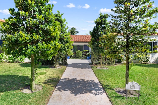 view of property hidden behind natural elements featuring a front yard