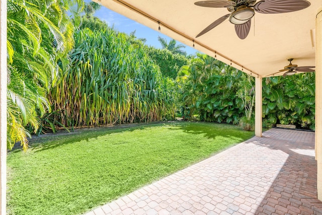 view of yard featuring ceiling fan and a patio