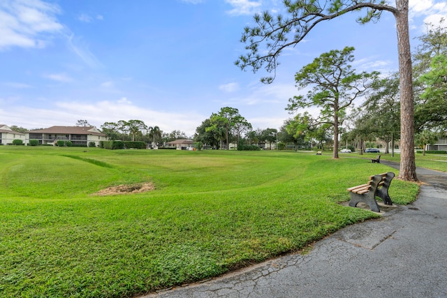 view of property's community with a yard