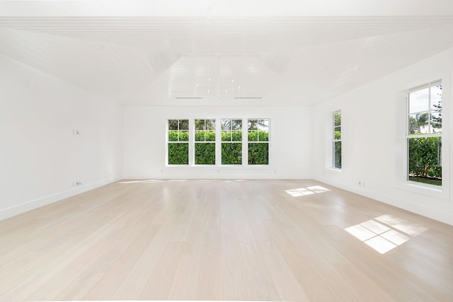 spare room with light hardwood / wood-style flooring and a healthy amount of sunlight