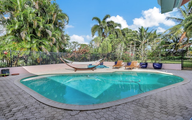 view of swimming pool featuring a patio