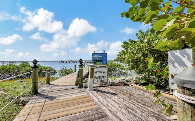 dock area featuring a water view