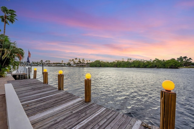 dock area with a water view