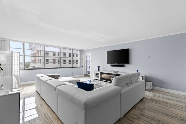 living room featuring light hardwood / wood-style floors and ornamental molding