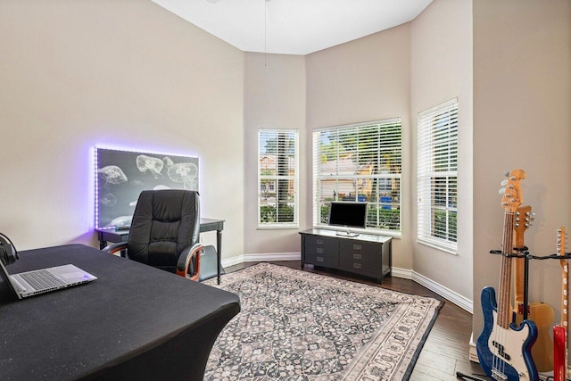 office space with high vaulted ceiling and hardwood / wood-style flooring