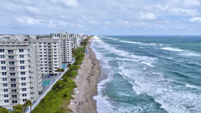 view of water feature featuring a beach view