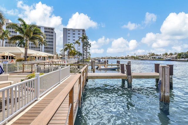 dock area with a water view