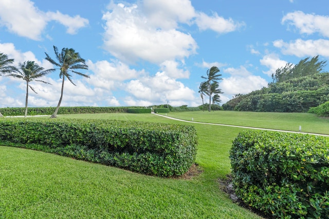 view of property's community featuring a lawn and a rural view