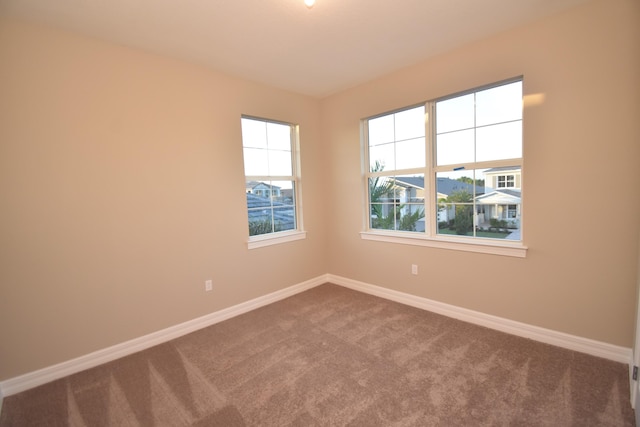 empty room with carpet and a healthy amount of sunlight