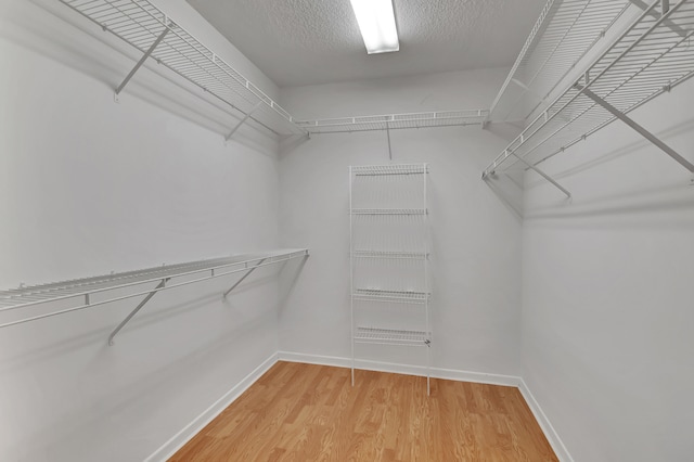 spacious closet featuring wood-type flooring