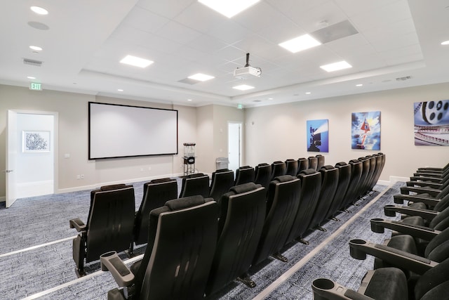 carpeted home theater room with a raised ceiling