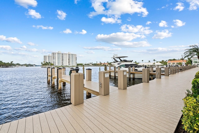 dock area with a water view