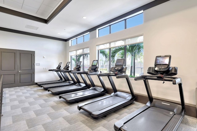 exercise room featuring light carpet