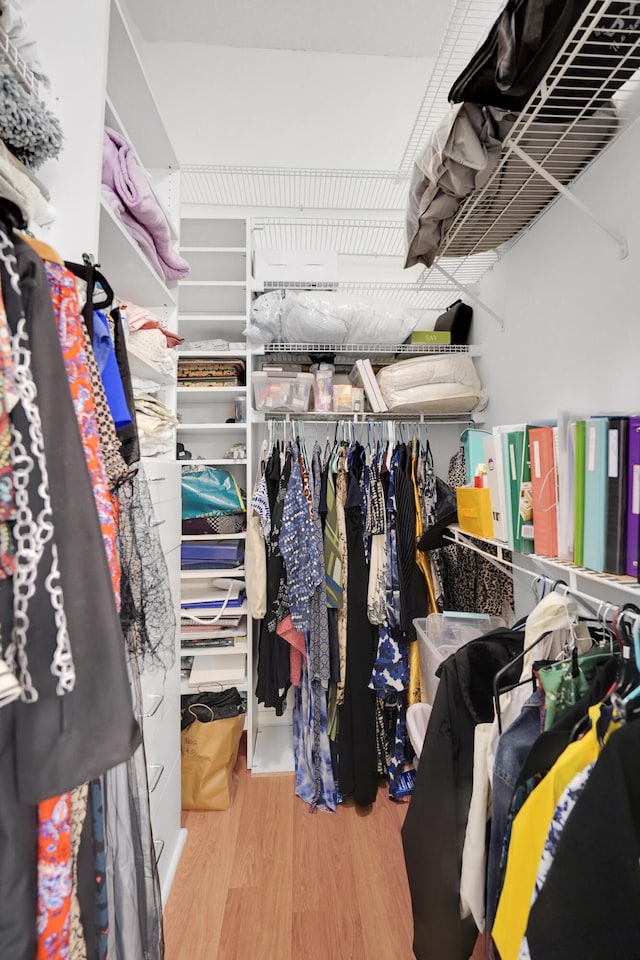 spacious closet with wood-type flooring