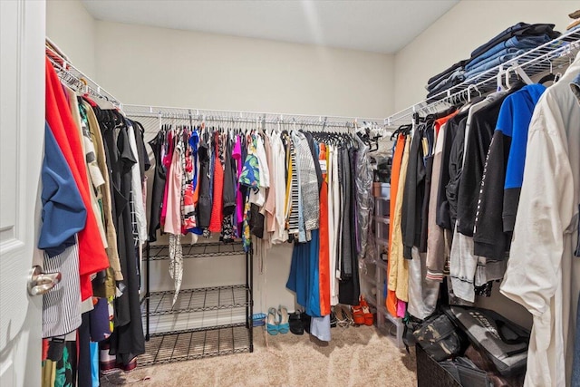 spacious closet with carpet flooring