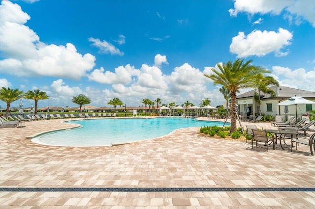 view of pool featuring a patio