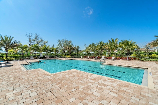 view of pool featuring a patio