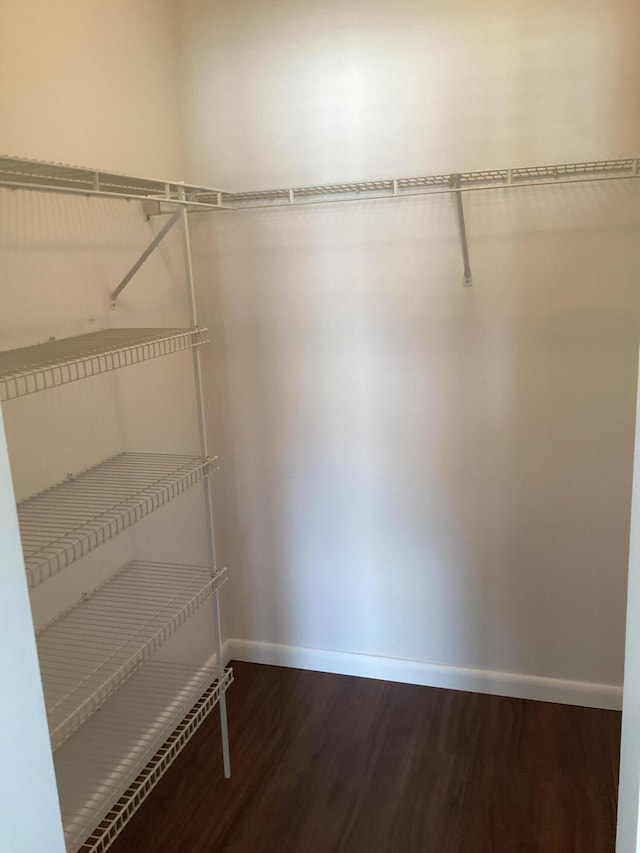 walk in closet with hardwood / wood-style flooring