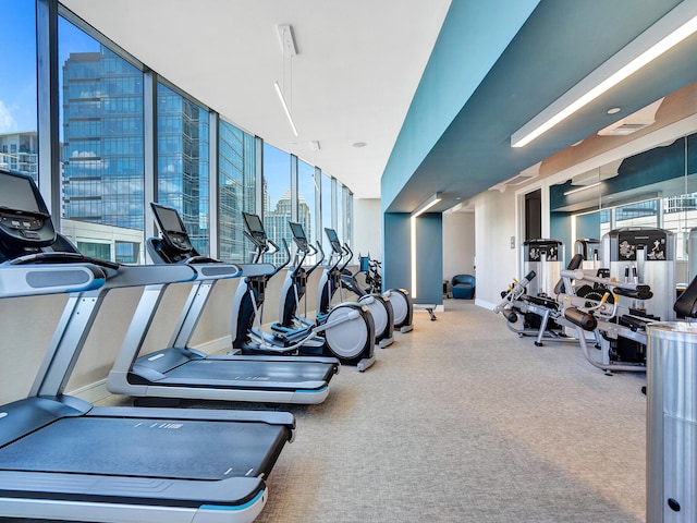 gym featuring carpet