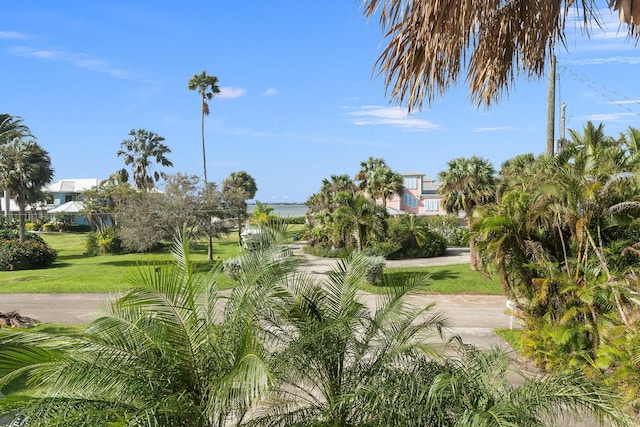 view of home's community featuring a lawn