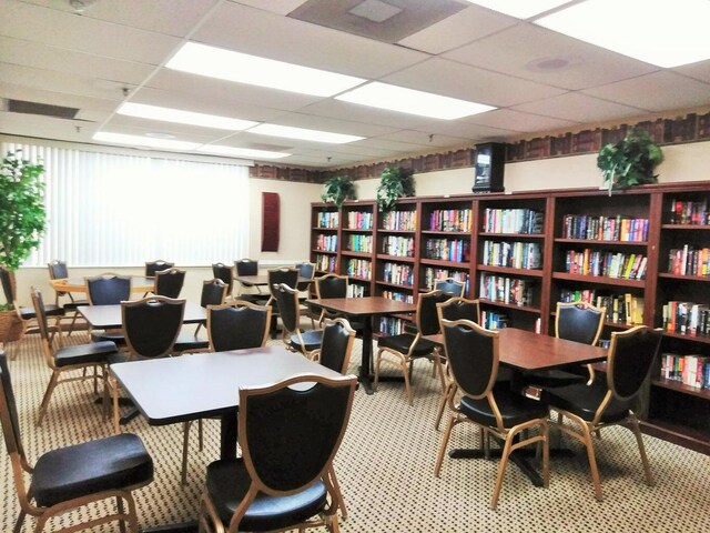 recreation room featuring a drop ceiling, pool table, and carpet