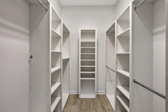 spacious closet with wood-type flooring