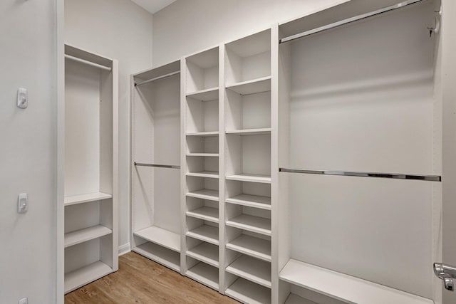 spacious closet featuring light wood-type flooring