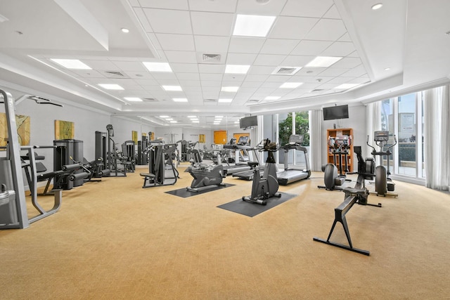 gym featuring a paneled ceiling, carpet flooring, and a wealth of natural light