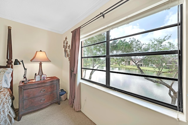 carpeted bedroom featuring multiple windows, crown molding, and a water view