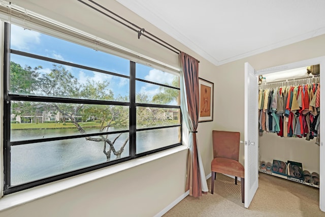 bedroom featuring a water view, ornamental molding, multiple windows, and a closet