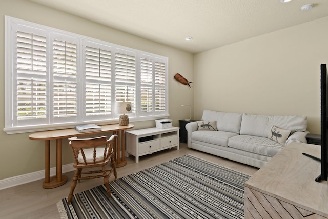 living room with light hardwood / wood-style floors and a wealth of natural light