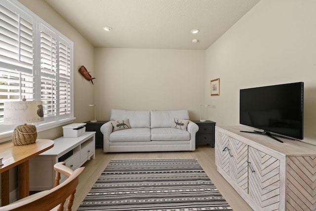 living room featuring light hardwood / wood-style floors