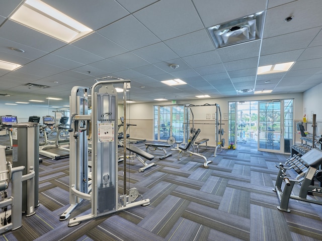 exercise room featuring carpet flooring and a drop ceiling