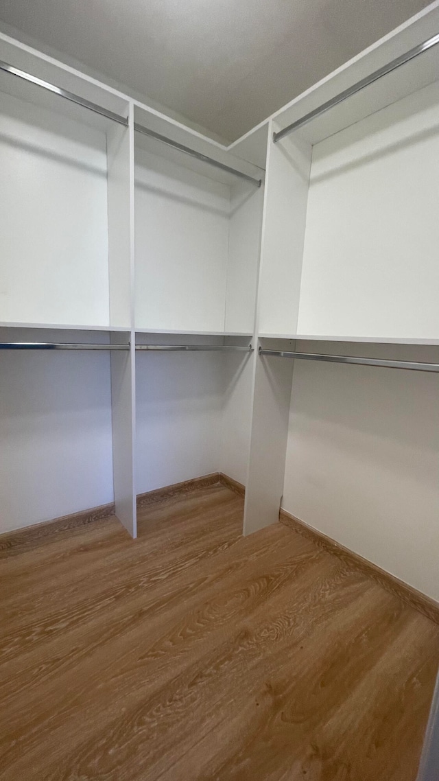 walk in closet featuring hardwood / wood-style floors