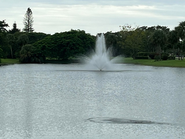 water view