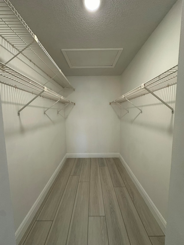 spacious closet featuring hardwood / wood-style floors