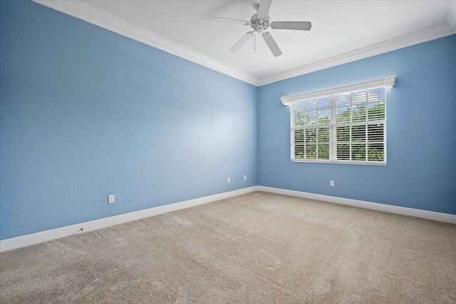 empty room featuring carpet, ceiling fan, and ornamental molding