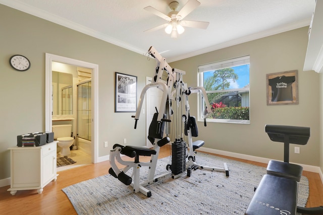 workout area with light hardwood / wood-style flooring, ceiling fan, and crown molding