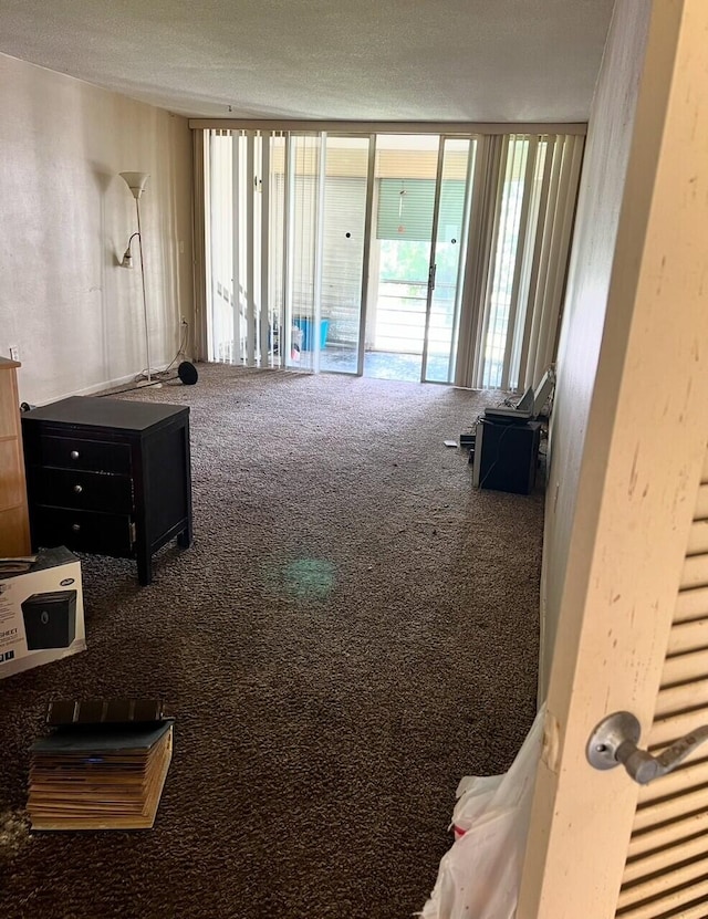 miscellaneous room featuring carpet floors and a textured ceiling