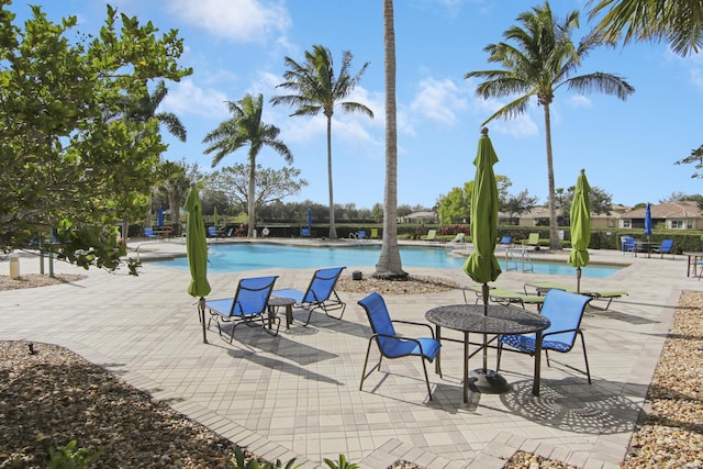 view of pool featuring a patio area