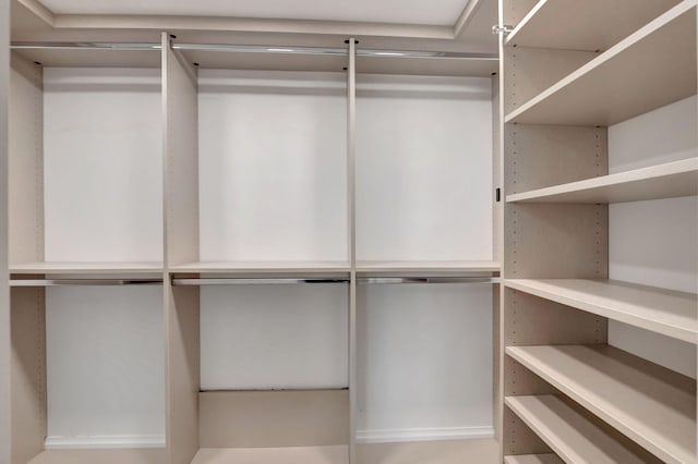 view of spacious closet