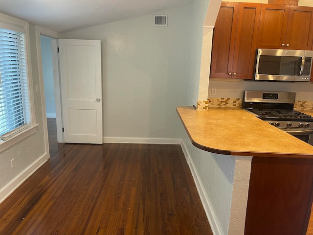 kitchen featuring vaulted ceiling, stainless steel appliances, and dark hardwood / wood-style flooring